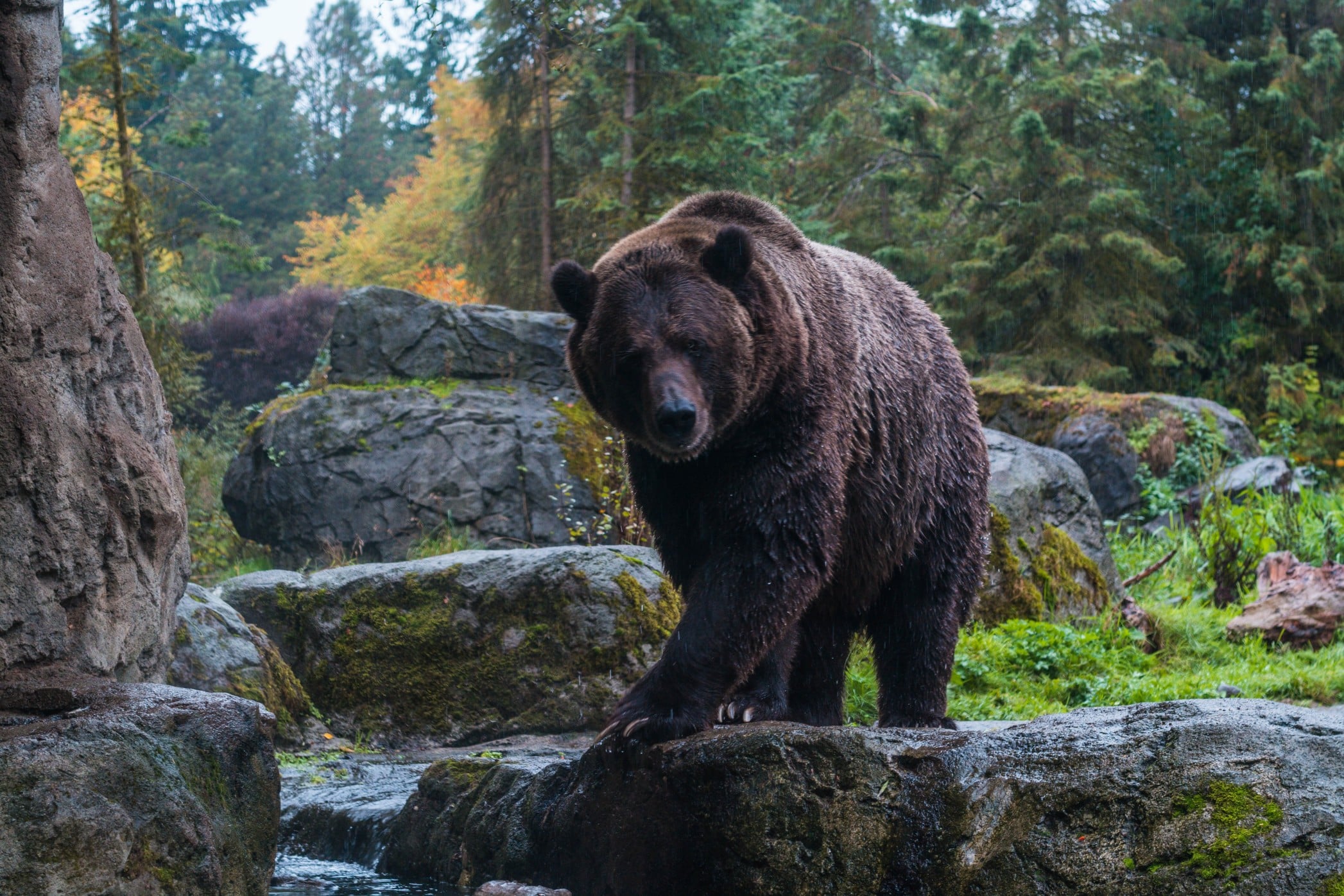 Tiere im Zoo erleben oder mit den Kindern als Familie die Natur genießen! Bild: @john.sell via Twenty20